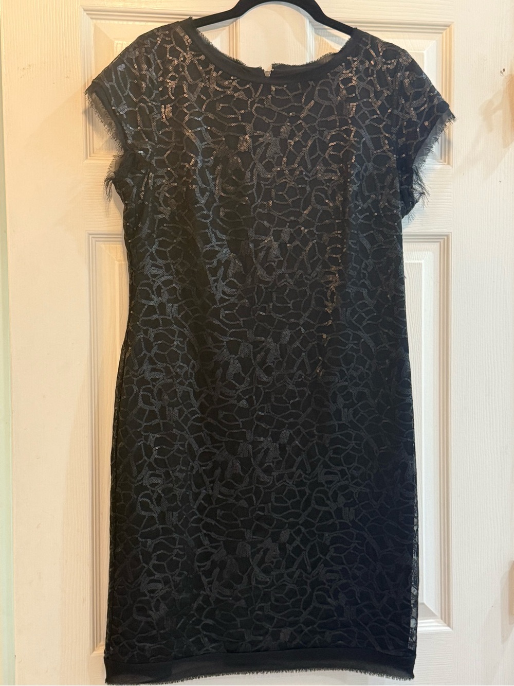 Vince Camuto Black Lace Cap Sleeve Mini Dress with Fringe